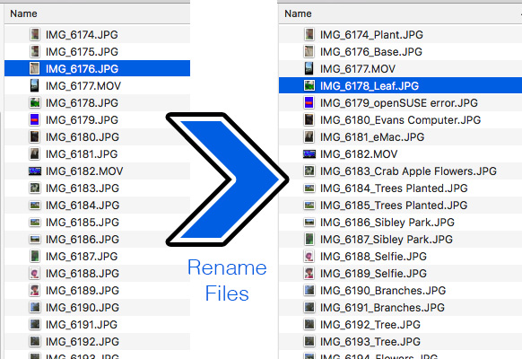 Thumbnail for DeChaos