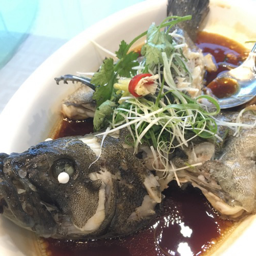 🇨🇳 Food I Remembered to Photograph On My Travels To and Thru China