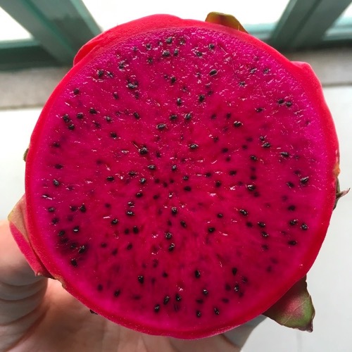 🇨🇳 Food I Remembered to Photograph On My Travels To and Thru China