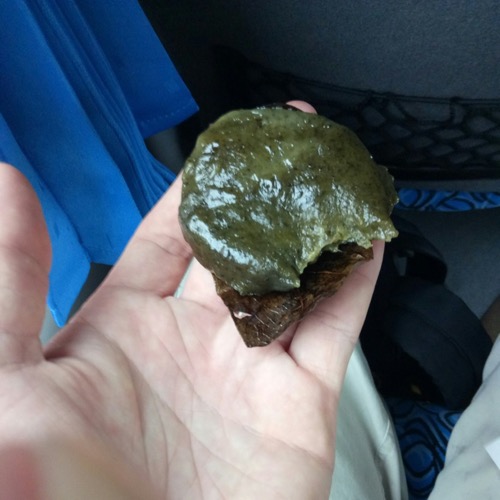 🇨🇳 Food I Remembered to Photograph On My Travels To and Thru China