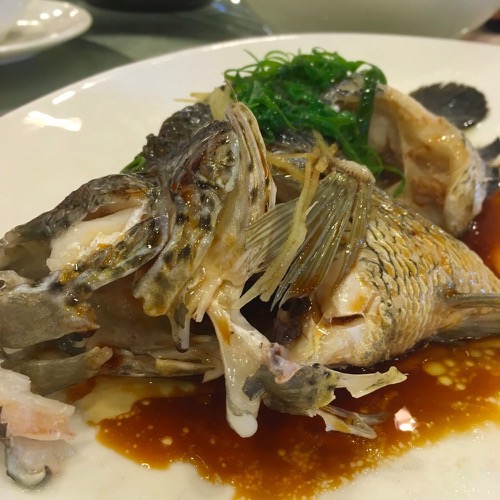 🇨🇳 Food I Remembered to Photograph On My Travels To and Thru China