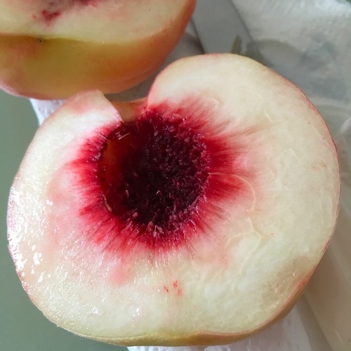 🇨🇳 Food I Remembered to Photograph On My Travels To and Thru China