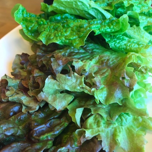 🇨🇳 Food I Remembered to Photograph On My Travels To and Thru China