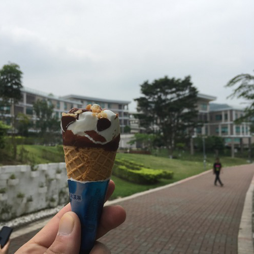 🇨🇳 Food I Remembered to Photograph On My Travels To and Thru China